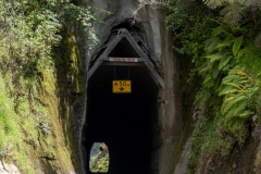 Hobbit's Hole