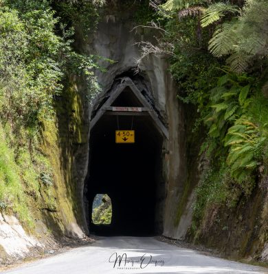 Hobbit's Hole