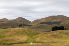 Cape Kidnappers