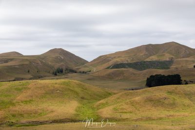 Cape Kidnappers