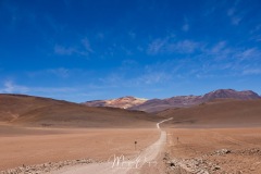 Lipez
