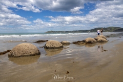 Moeraki Boulders