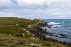 Long Point