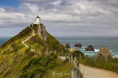 Nugget Point