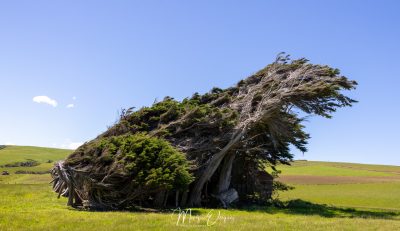 Slope Point