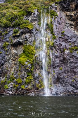 Milford Sound