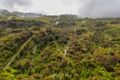 Milford Sound