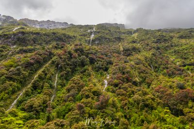 Milford Sound