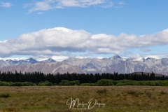 4O2A5607-Pano