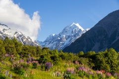 Parc National Mount Cook