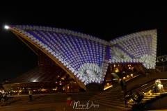 Opera by night