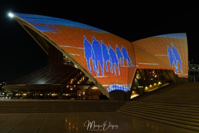 Opera by night