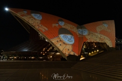 Opera by night