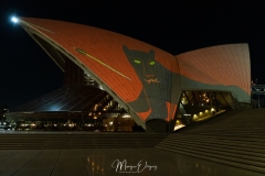 Opera by night