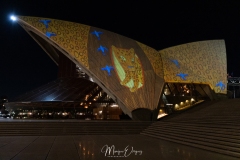 Opera by night
