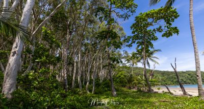 Cape Kimberley