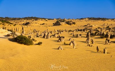 Sur une autre planète