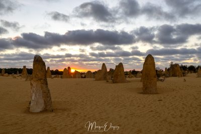 Pinnacle Desert