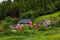 4O2A7546.jpg.webp