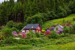 Rosendal