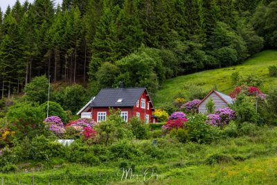 Rosendal