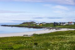 Sable blanc des Lofoten