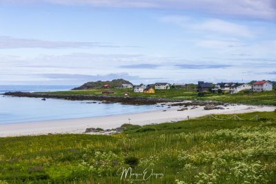 Sable blanc des Lofoten