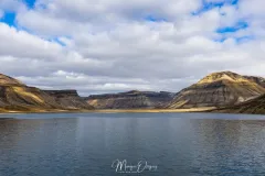 4O2A8443.jpg.webp