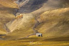 4O2A8458.jpg.webp