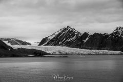 Ny Alesund