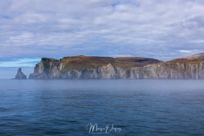 Brume matinale