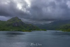 4O2A8919.jpg.webp
