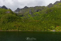 4O2A8954.jpg.webp