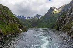 4O2A9018.jpg.webp