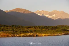 4O2A9113.jpg.webp