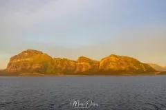 4O2A9128.jpg.webp