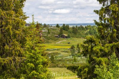 gol i Hallingdal