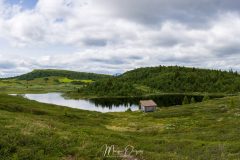 Gol i Hallingdal