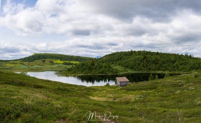 Gol i Hallingdal