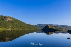 4O2A9883.jpg.webp