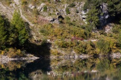 Barrage de Tseuzier