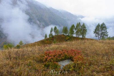 Lötschental