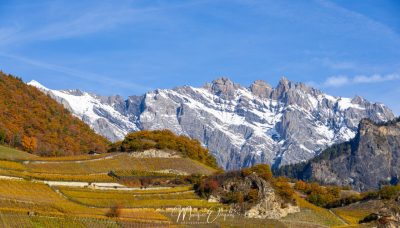 Vignobles valaisans