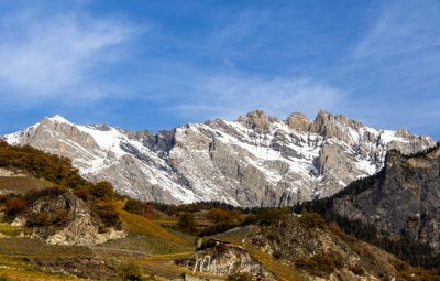 Vignobles de Saillon