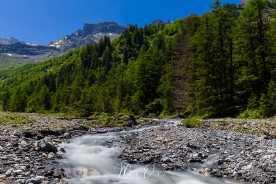 Vallon du Nant