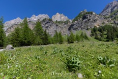 Vallon du Nant