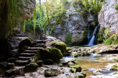 Tine de Conflens