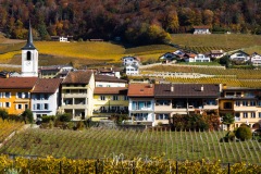 Vignobles