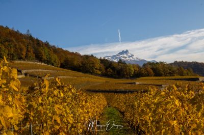 Dent de Morcles